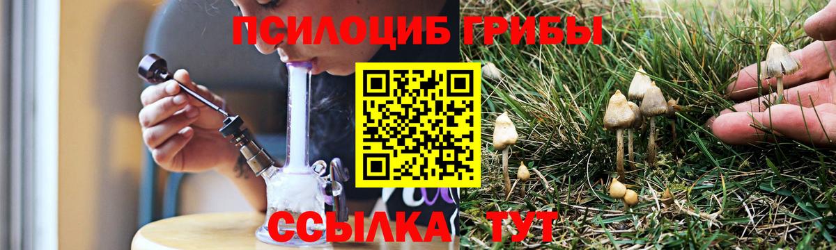 Галлюциногенные грибы Cubensis  Галлюциногенные грибы Psilocybe  Вход с VPN  Елабуга 